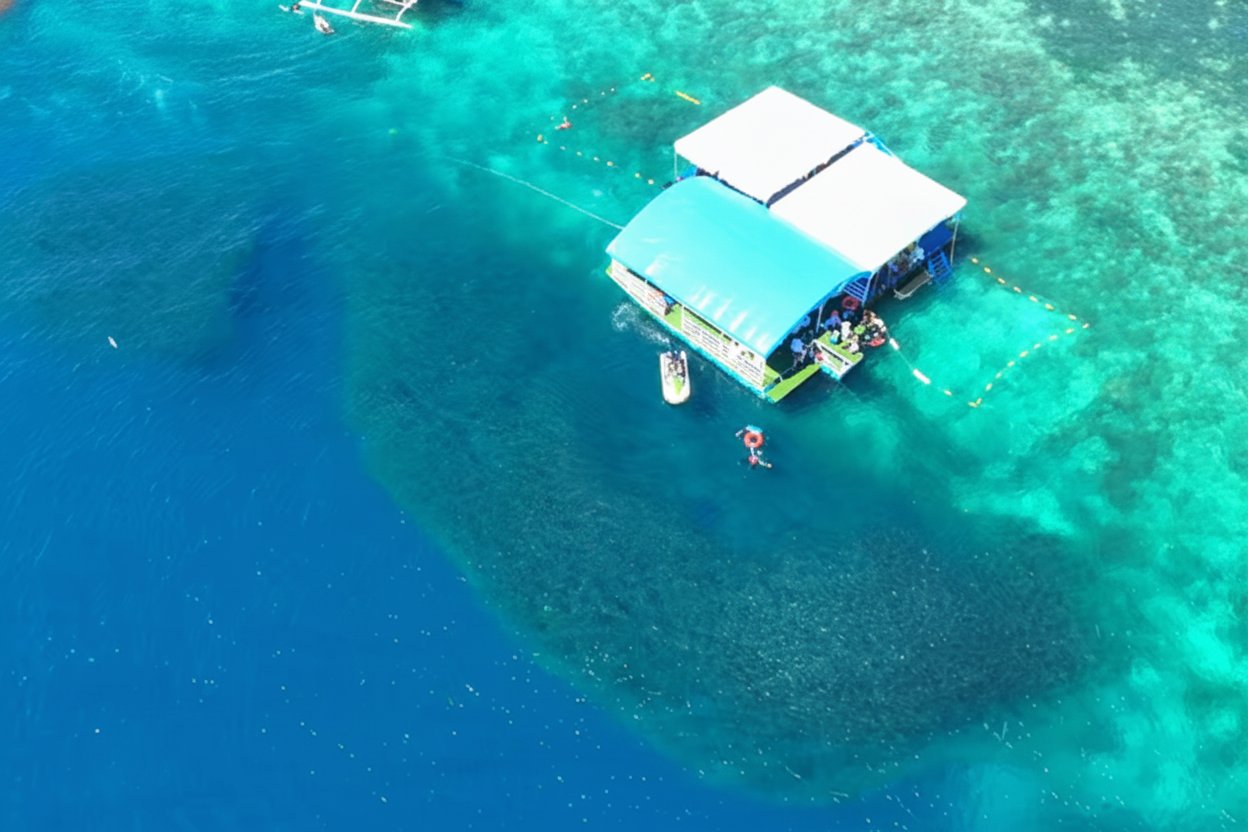 Above a sardine reef